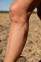 HIGHRES-01522