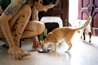 Paws_Cat_House_April_2026_print-05178