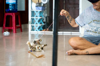 Paws_Cat_House_April_2026_print-05189