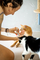 Paws_Cat_House_April_2026_print-05200