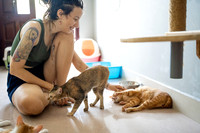 Paws_Cat_House_April_2026_print-05219
