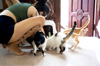 Paws_Cat_House_April_2026_print-05176