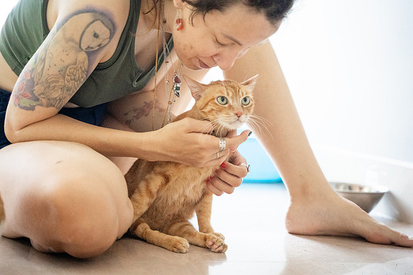 Paws_Cat_House_April_2026_print-05224