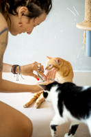 Paws_Cat_House_April_2026_websize-05200