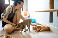 Paws_Cat_House_April_2026_websize-05219