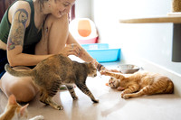 Paws_Cat_House_April_2026_websize-05221