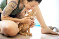 Paws_Cat_House_April_2026_websize-05224