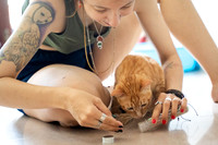 Paws_Cat_House_April_2026_websize-05225