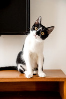 Oreo_2026_websize-06520