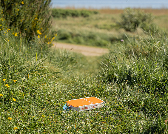 Find the Fox-WEBSIZE-07546