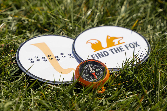Find the Fox-WEBSIZE-07538