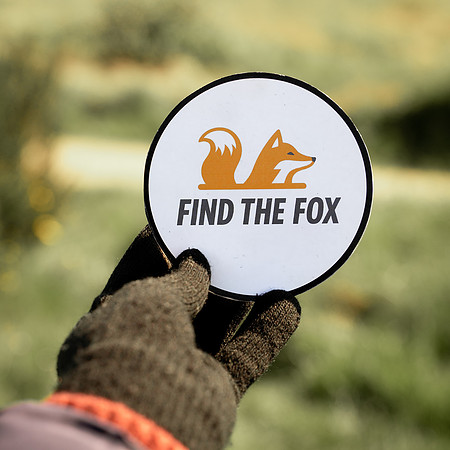 Find the Fox-HIGHRES-07558