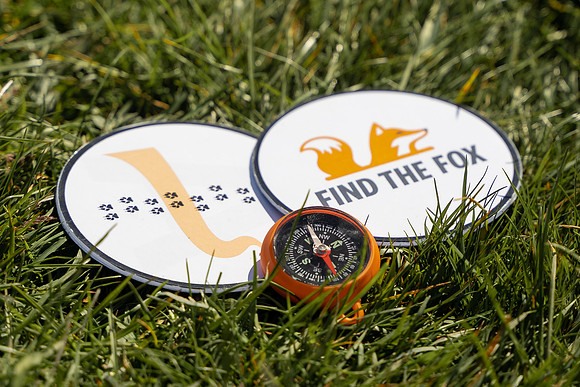 Find the Fox-HIGHRES-07538