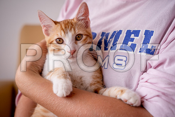 web1-01609