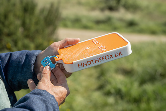 Find the Fox-HIGHRES-07542
