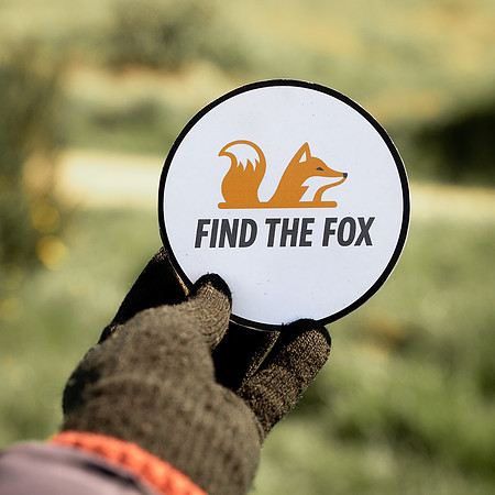 Find the Fox-WEBSIZE-07558