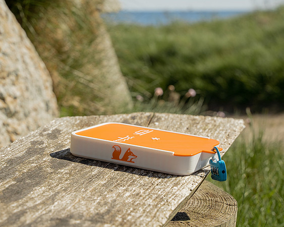 Find the Fox-WEBSIZE-07565
