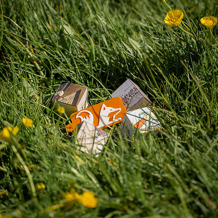 Find the Fox-HIGHRES-07535