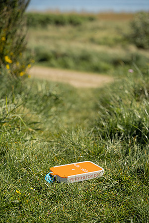 Find the Fox-HIGHRES-07548