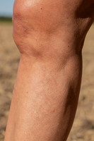 HIGHRES-01522-2