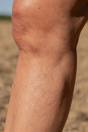 HIGHRES-01522-2